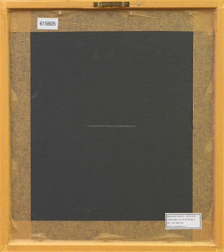  / Portrét muže / Adolf Hoffmeister