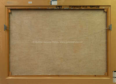  / Dva domy na louce / Jiří Načeradský