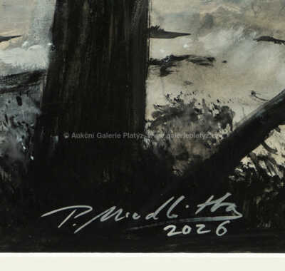  / Carcharodontosaurus saharicus / Petr Modlitba