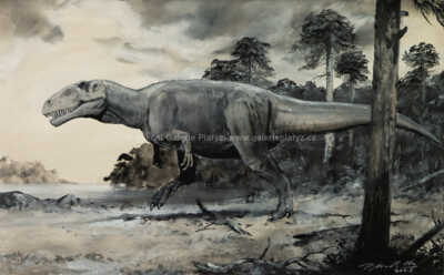  / Carcharodontosaurus saharicus / Petr Modlitba