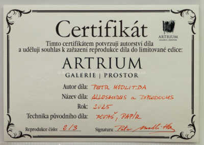  / Allosaurus a Diplodocus / Petr Modlitba