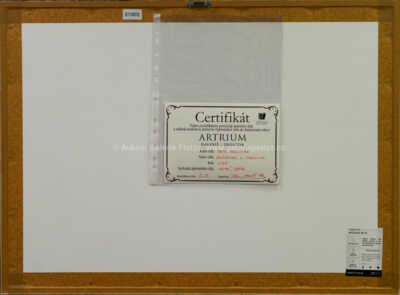  / Allosaurus a Diplodocus / Petr Modlitba