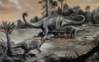  / Allosaurus a Diplodocus / Petr Modlitba