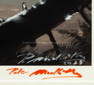  / Allosaurus a Diplodocus / Petr Modlitba