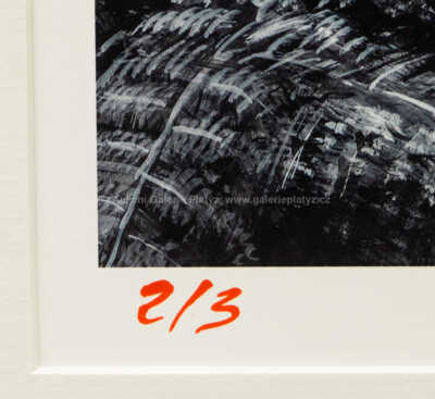  / Allosaurus a Diplodocus / Petr Modlitba