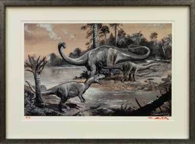 Petr Modlitba - Allosaurus a Diplodocus