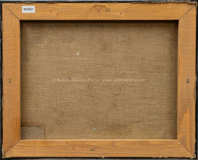  / Jizera / Josef Jíra