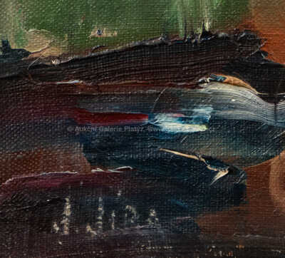  / Jizera / Josef Jíra