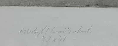  / Motýl / Ladislav  Čepelák