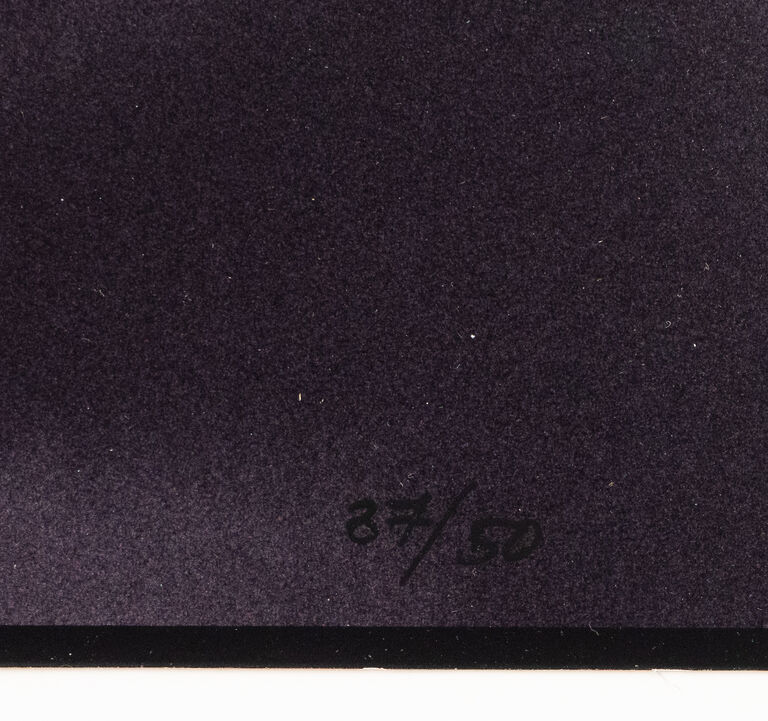  / Kniha Saudek - limitované vydání monografie s fotografií Marie č. 1 / Jan Saudek