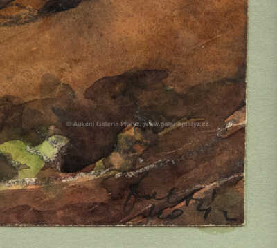  / Pohorská dědina / František  Foltýn