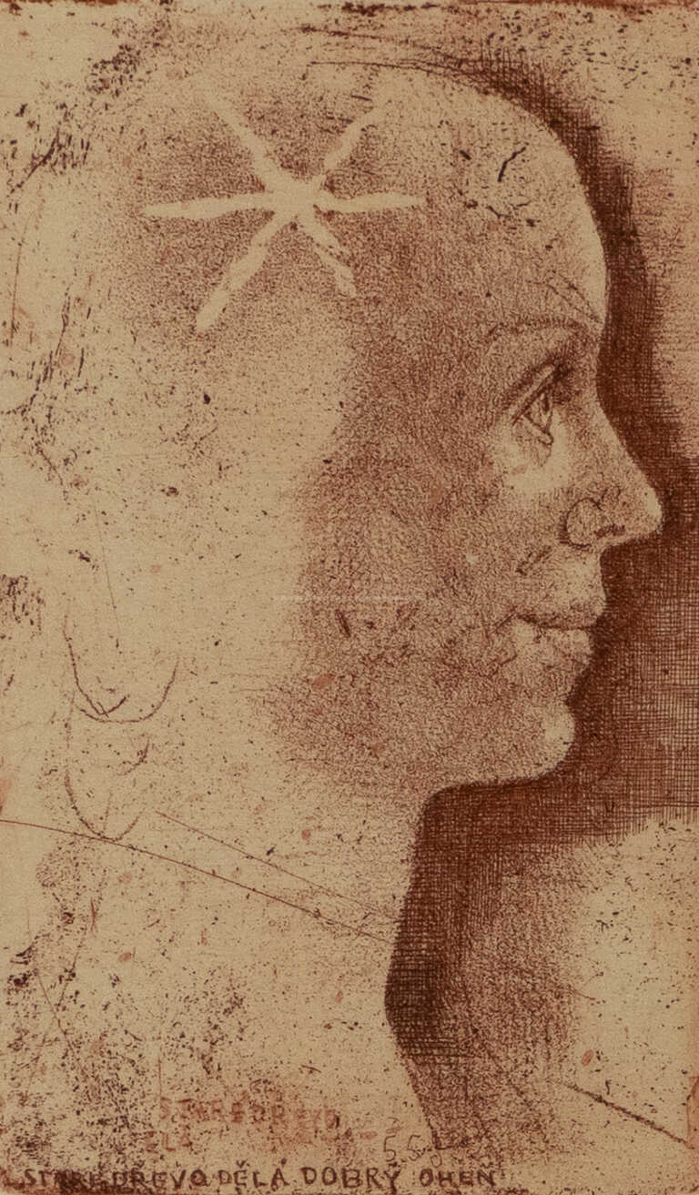  / Staré dřevo dělá dobrý oheň / Jiří Anderle