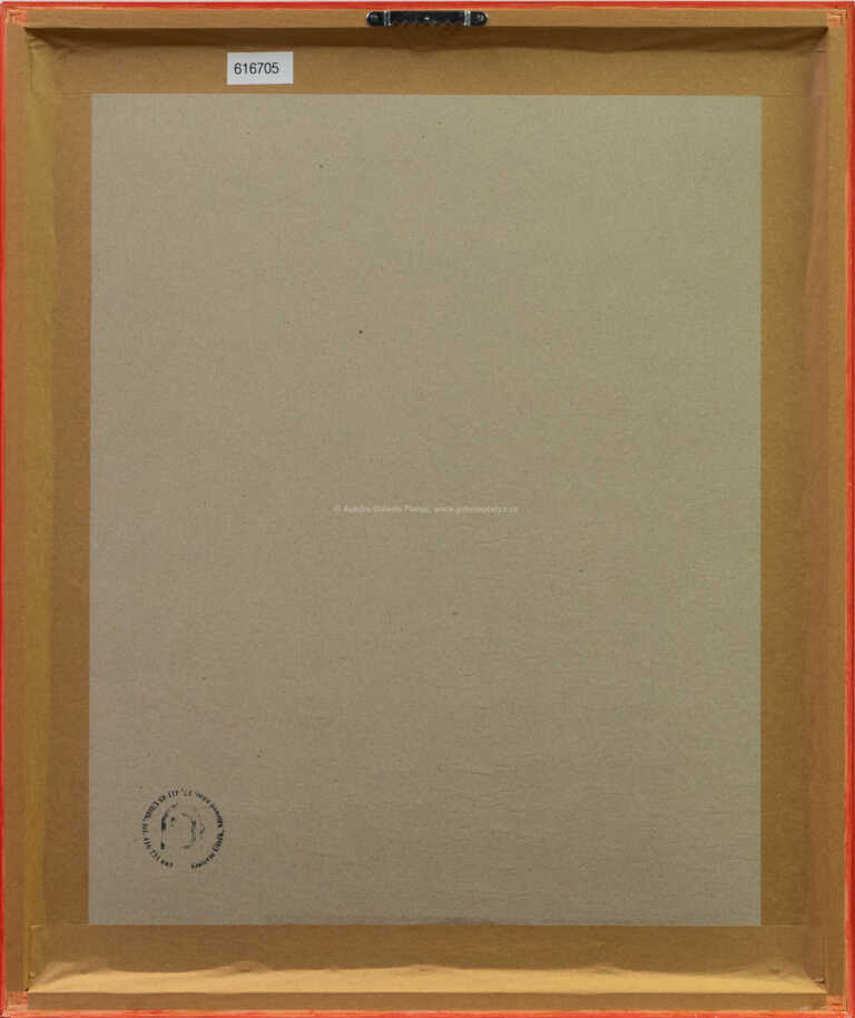  / Karty / Iva Hüttnerová