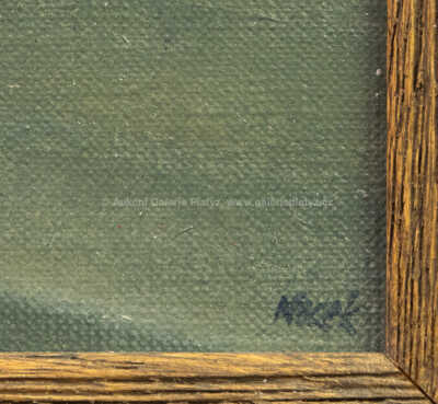  / Světlo a stín / Jiří Mocek