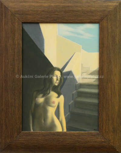 Jiří Mocek - Světlo a stín