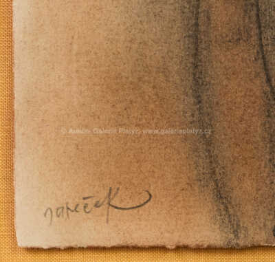  / Zasněná / Ota Janeček