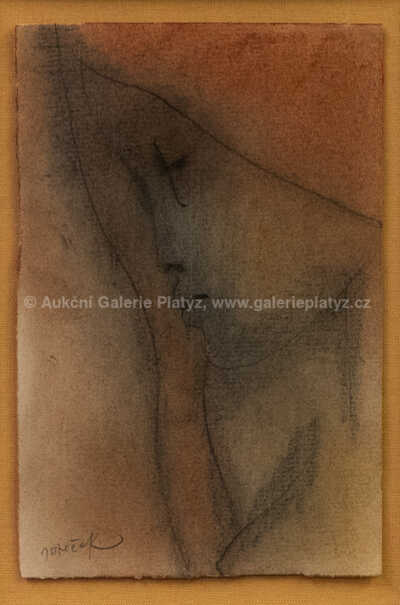  / Zasněná / Ota Janeček