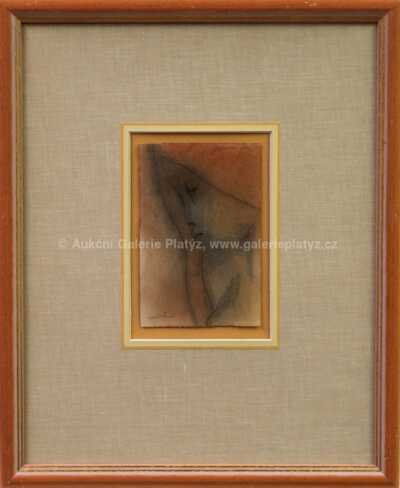 Ota Janeček - Zasněná