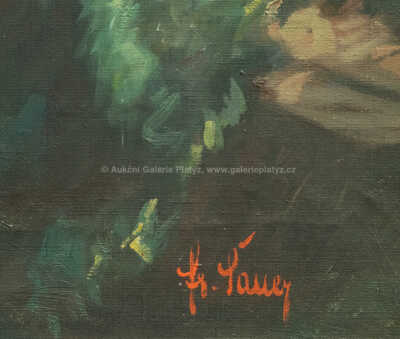  / Pražské panorama / František Šauer