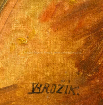  / Portrét muže / Václav Brožík