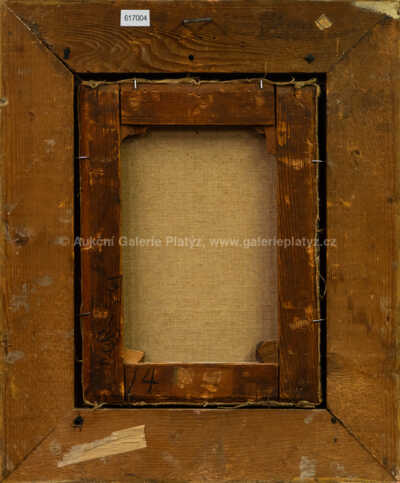  / Portrét muže / Václav Brožík