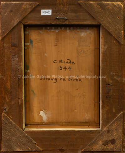  / Stromy na břehu / Cyril Bouda