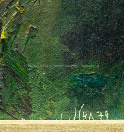  / Koupání na Malé Skále / Josef Jíra