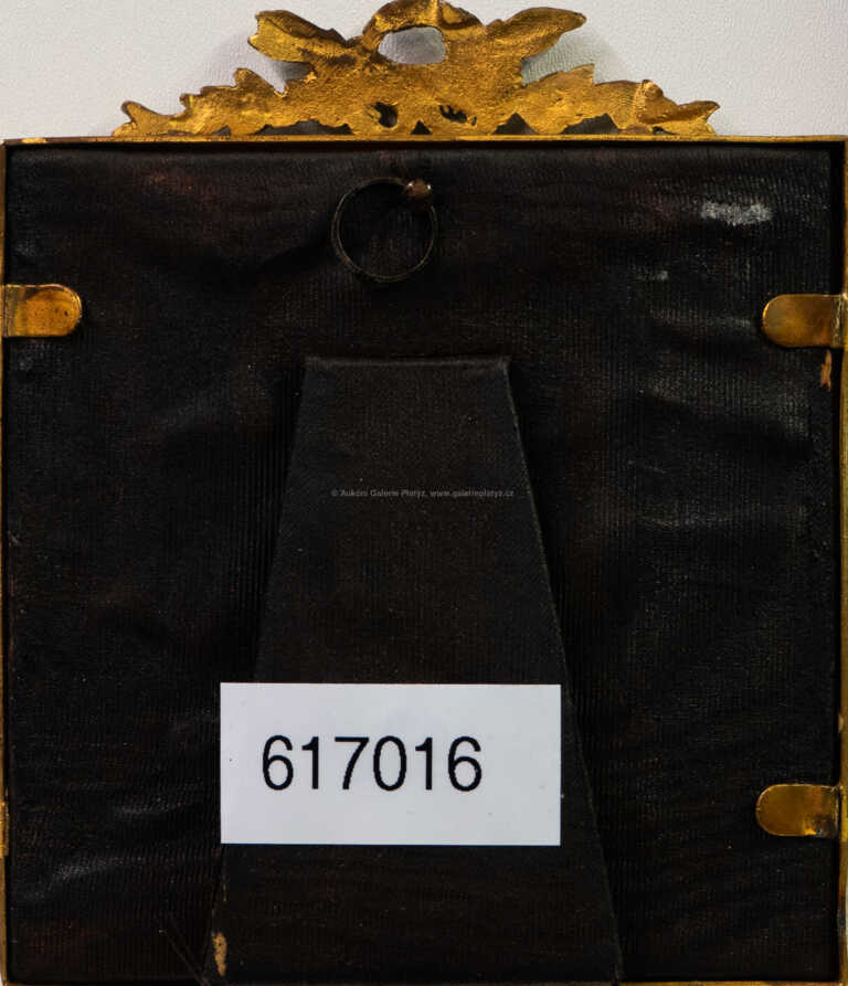  / Diana /   Neznačeno