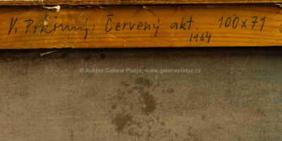  / Červený akt / Václav Pokorný