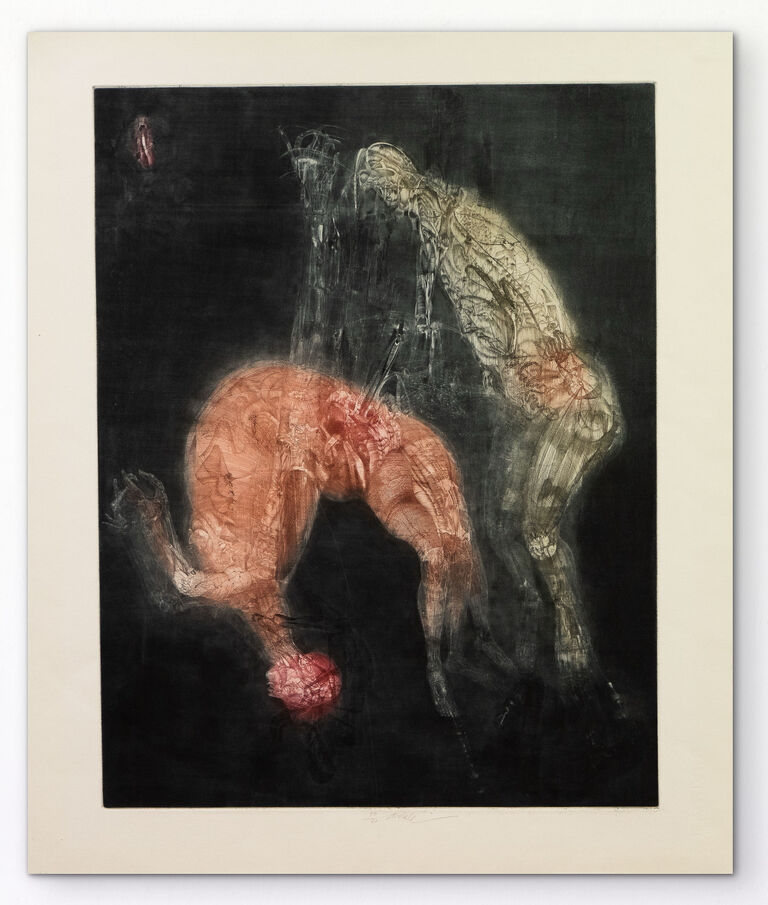 Jiří Anderle - El Loulabi II