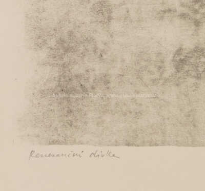  / Renesanční dívka / Jiří Anderle