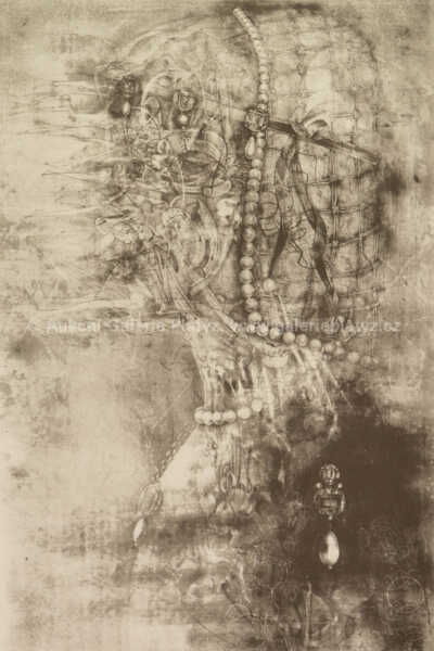  / Renesanční dívka / Jiří Anderle