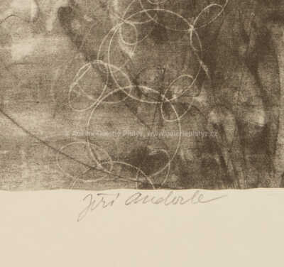  / Renesanční dívka / Jiří Anderle