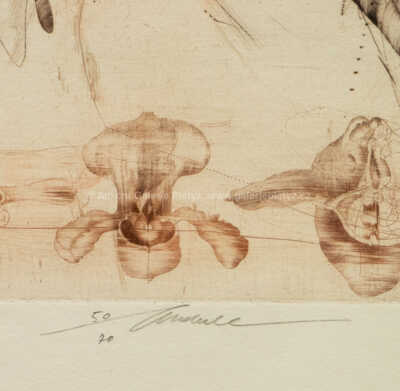  / El motadani / Jiří Anderle