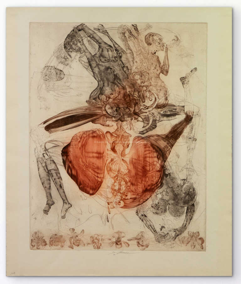 Jiří Anderle - El motadani