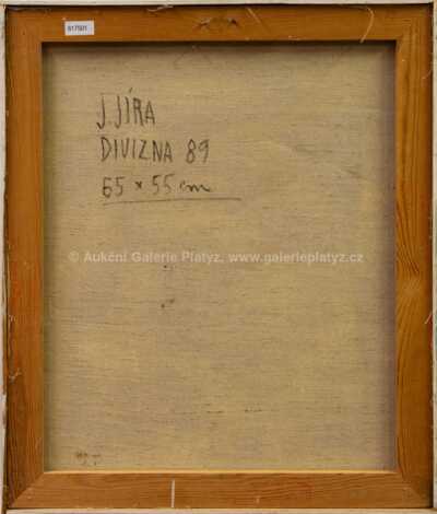  / Divizna / Josef Jíra