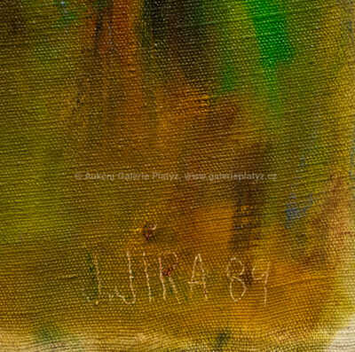  / Divizna / Josef Jíra