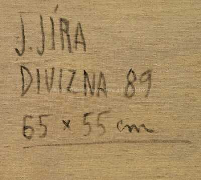  / Divizna / Josef Jíra