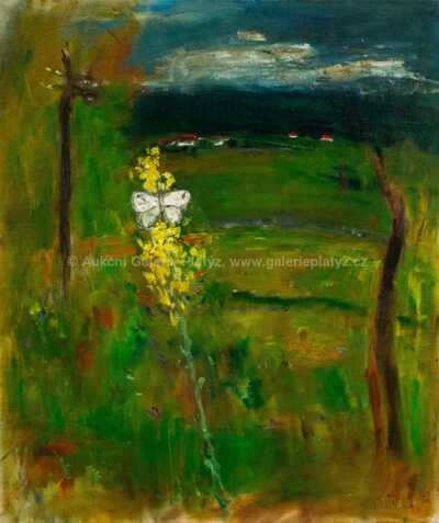  / Divizna / Josef Jíra