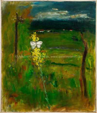 Josef Jíra - Divizna