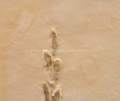  / Dívka s ratolestí / Olbram Zoubek