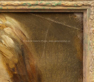  / Podobizna děvčátka / Oldřich Blažíček