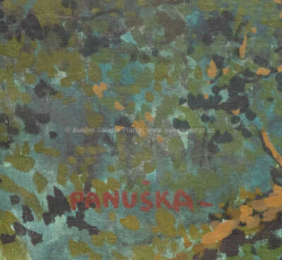  / Šárka v neolithu / Jaroslav Panuška