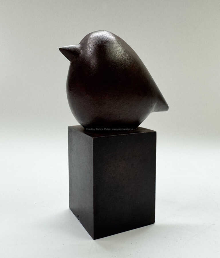 Ota Janeček - Ptáček