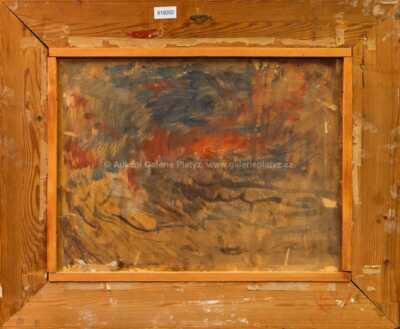  / Lávka přes potok / Oldřich Blažíček