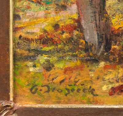  / Lávka přes potok / Oldřich Blažíček