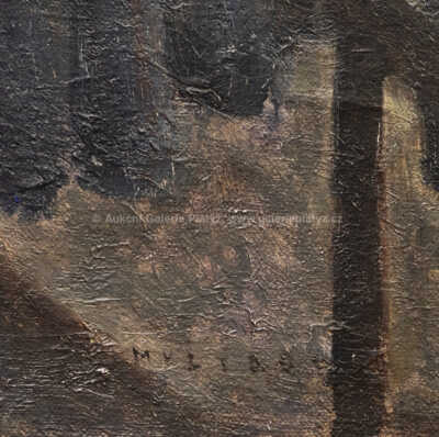  / Kluziště / Josef Multrus