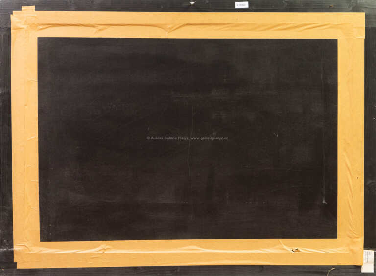  / Osvobození z TV / Daniel Krejbich