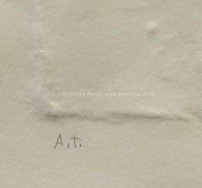  / Anděl / Olbram Zoubek