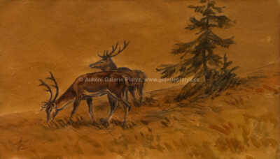  / Jeleni / Jiří Židlický